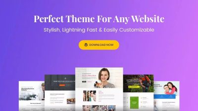 Astra Pro v3.6.3 Theme v.3.7.5 Nulled