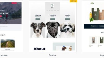 Astra Premium Sites v.2.7.5 -Ready to Import Starter Websites Download