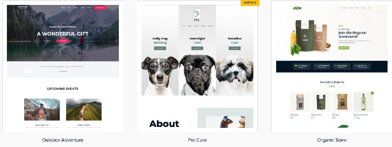 Astra Premium Sites v.2.7.5 -Ready to Import Starter Websites Download