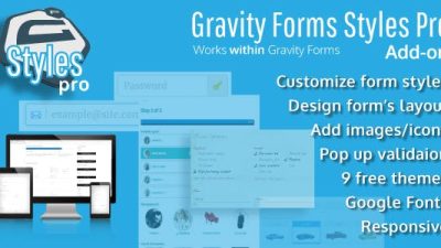 Gravity Forms Styles Pro Add-on v.3.0.2 Download