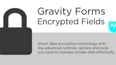 Gravity Forms Encrypted Fields Nulled-Download