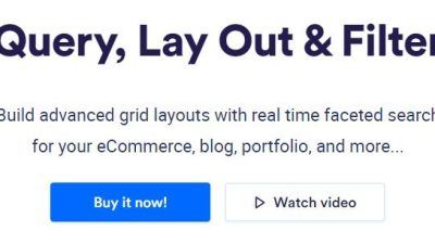 WP Grid Builder – Query, Lay Out & Filter v.1.6.2 Download