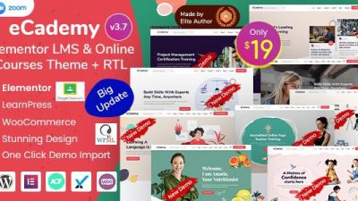 eCademy – Elementor LMS & Online Courses Theme v.4.9.4 Download