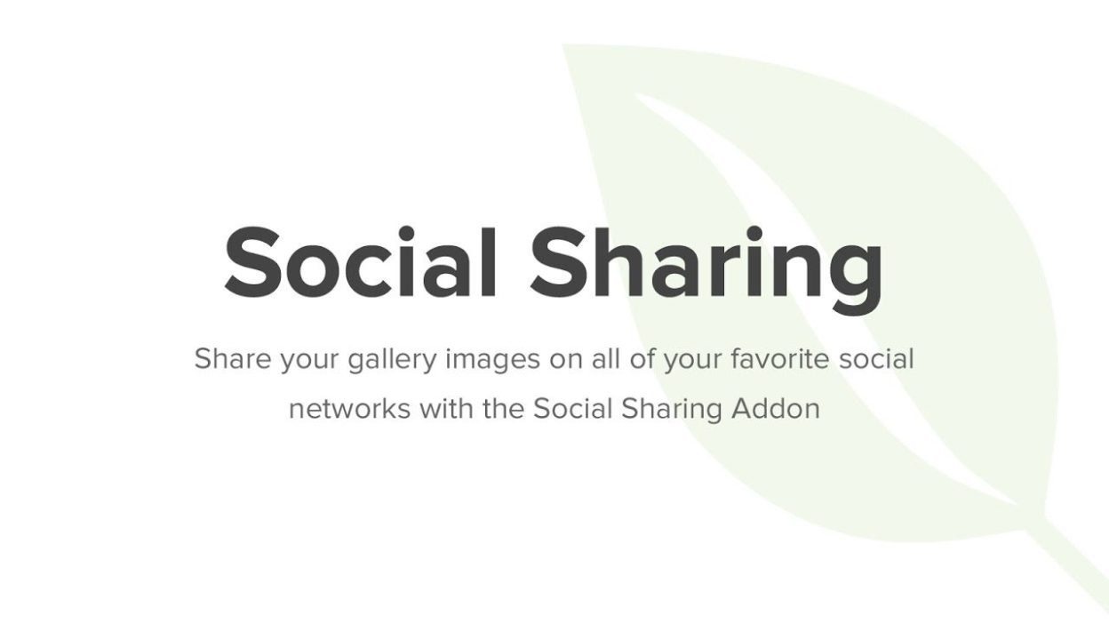 Envira Gallery Social Add-On v.1.6.6.1 Download