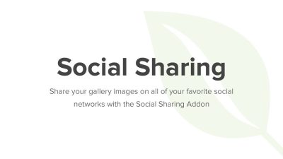 Envira Gallery Social Add-On v.1.6.6.1 Download
