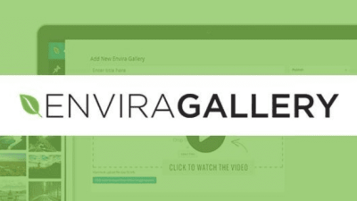 Envira Gallery: EXIF Addon v1.4.9.1 Download