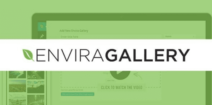 Envira Gallery: EXIF Addon v1.4.9.1 Download