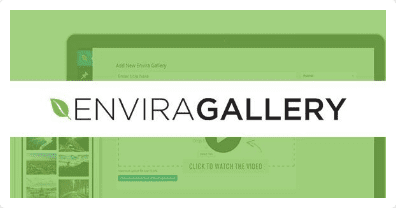 Envira Gallery Downloads Addon v.1.5.4.1 Download