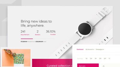 WP Crowdfunding Pro v.11.2.1 + Theme