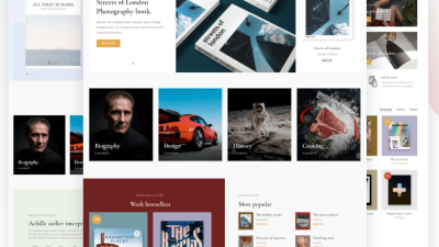 Juno v.1.2.1 – Premium Theme For Books & Magazine Store Download