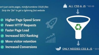 Asset-CleanUp-Pro-Page-Speed-​​Booster-Nulled-Download