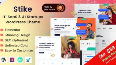 Stike GPL – IT Startups WordPress Theme v.2.6 Download