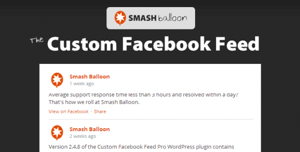 Custom Facebook Feed Pro By Smash Balloon v4.0.8 Download