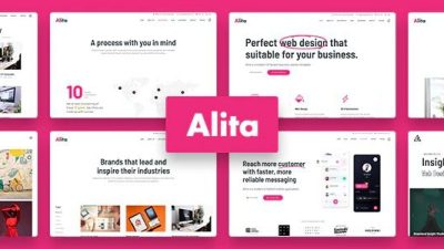 Alita v.1.0.1 – Web Studio WordPress Theme Download