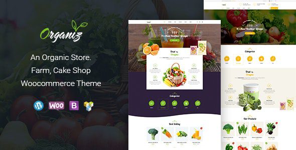 Organiz v2.3 – An Organic Store WooCommerce Theme Download