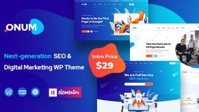Onum – SEO & Marketing Elementor WordPress Theme v1.2.7 Download