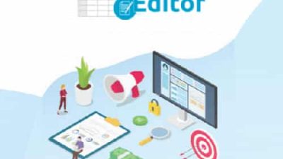 WP Sheet Editor – Categories and Tags Pro v.1.5.13 Download