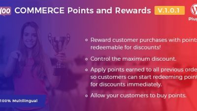 Bravo WooCommerce Points and Rewards – WordPress Plugin v.2.2.5 Download