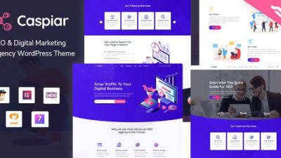 Caspiar – Digital Marketing & Agency WordPress Theme v1.3 Download