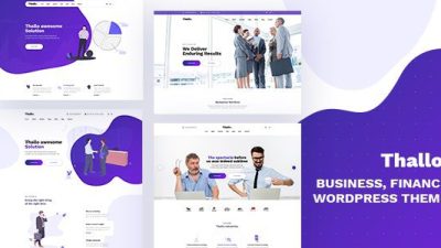 Thallo – Consulting & Finance WordPress Theme v1.0.9 Download
