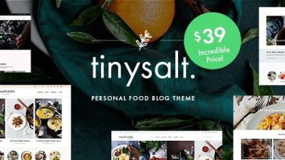 Tinysalt-Personal-Food-Blog-Wordpress-Theme-Nulled-Download