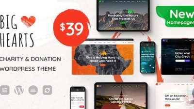 BigHearts – Charity & Donation WordPress Theme v.1.1.4 Download