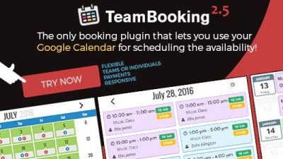 Team-Booking-WordPress-Booking-System-Nulled-Download