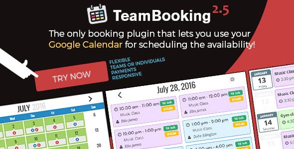 Team-Booking-WordPress-Booking-System-Nulled-Download