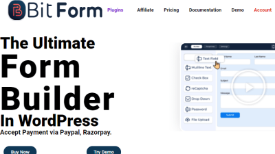 Bit Form Pro v1.4.6 Download