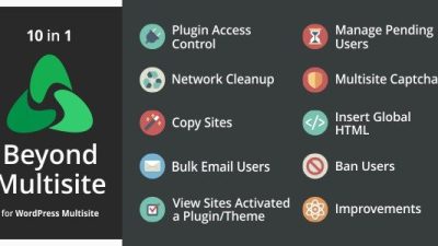 beyond-multisite-nulled-download
