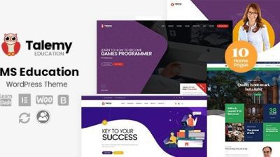 Talemy - LMS 教育 WordPress 主题无效