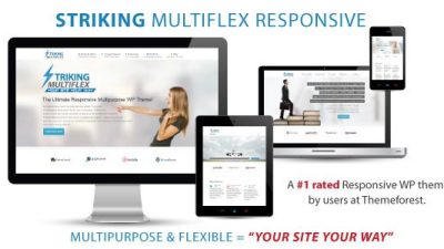Striking v.2.1.7 – MultiFlex & Ecommerce Responsive WP Theme Download