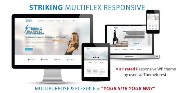 Striking v.2.1.7 – MultiFlex & Ecommerce Responsive WP Theme Download