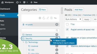 WordPress Real Category Management v4.0.8 – Custom category term order Tree view Download