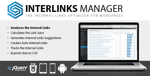 Interlinks Manager破解版下载