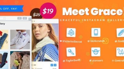 Instagram Feed Gallery — WordPress Instagram Plugin v1.2.6 Download