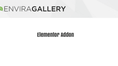 Envira Gallery Elementor Addon v1.1.0 Download