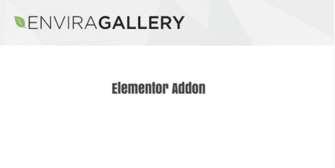Envira Gallery Elementor Addon v1.1.0 Download