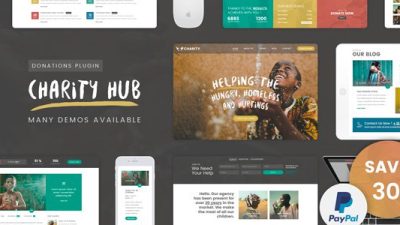 Charity Foundation – Charity Hub WP Theme v.2.2 Download