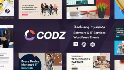 v.1.0.5 – Codz Software & IT Services Theme Download