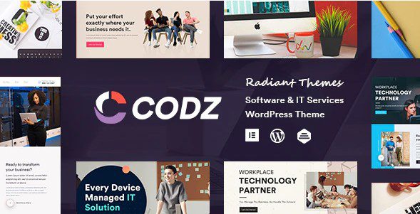 v.1.0.5 – Codz Software & IT Services Theme Download