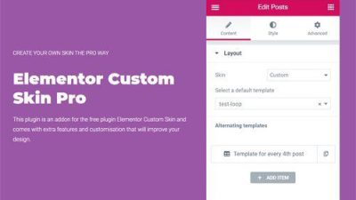 Elementor Custom Skin Pro v.3.1.0 Download