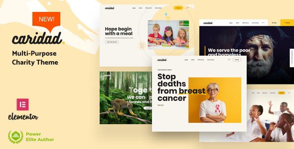 Caridad – Charity WordPress v.2.1 Download