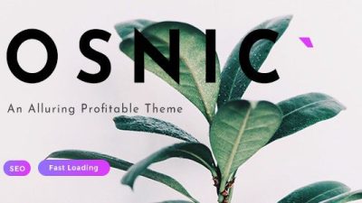 Osnic – Adsense WordPress Theme v.2.5.0 Download