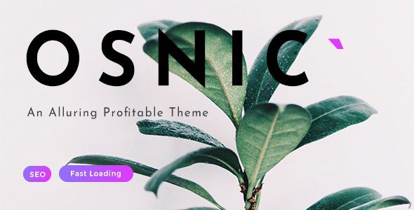 Osnic – Adsense WordPress Theme v.2.5.0 Download