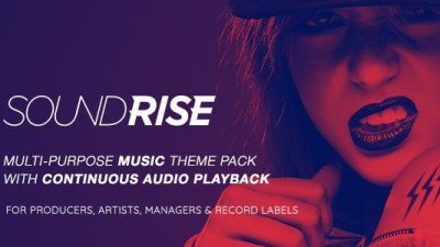 SoundRise – Artists, Producers and Record Labels WordPress Theme v.1.5.7 Download