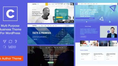 Capital-Multi-Purpose-Business-WordPress-Theme-Nulled-Download