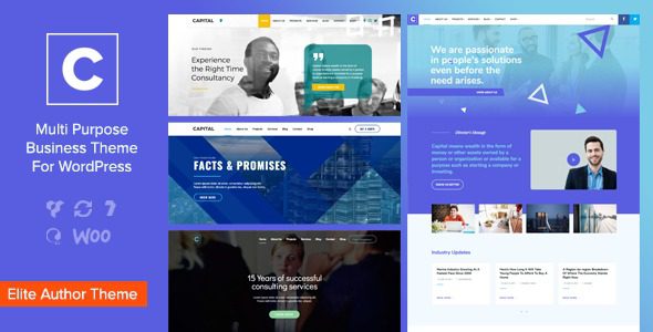 Capital-Multi-Purpose-Business-WordPress-Theme-Nulled-Download