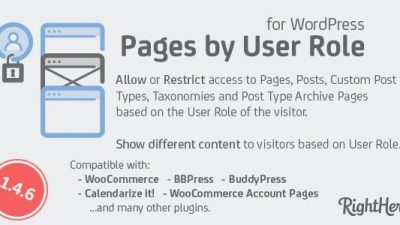 WordPress-Nulled-Download 按用户角色分页