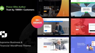 Businext -Business and Financial Institution WordPress Theme v.2.0.0 Download